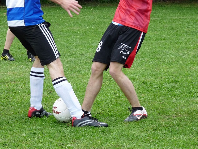 陈晋一和孙 陈晋一和孙