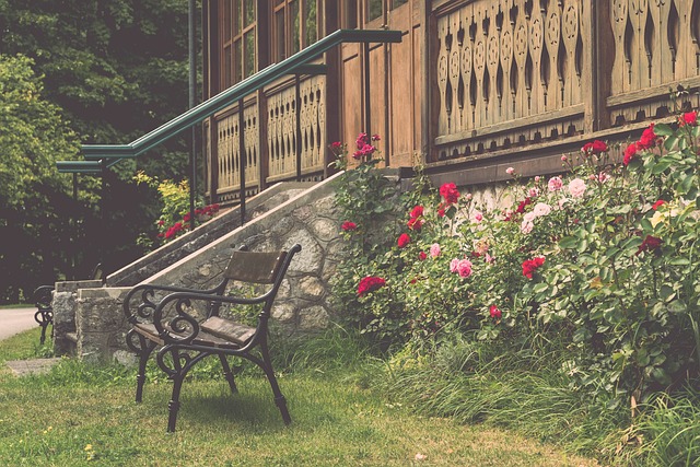 满活力和竞 满活力和竞